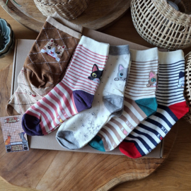 Cat Socks Kittens 5 pairs stretch size 35-40