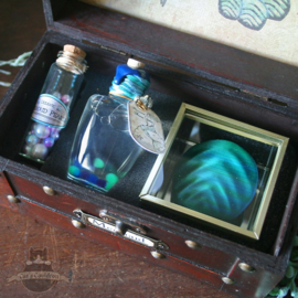 Mermaid anatomy potions chest