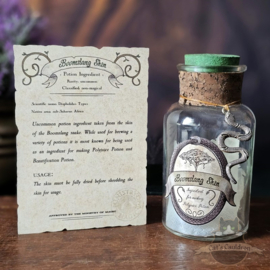 Boomslang Skin in potion bottle