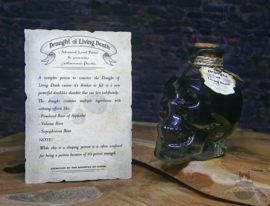 Potion set Amortentia, Draught of Living Death, Floo Powder