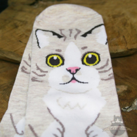 Beige socks with big cat in cartoon style size 35-40