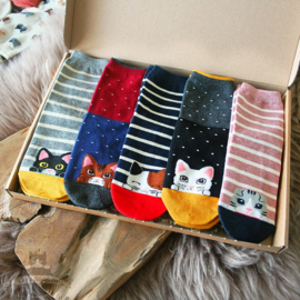 Cat socks kitten love 5 pairs stretch size 36-41