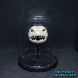 Anime figure #009 skull in bell jar