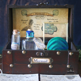 Mermaid anatomy potions chest