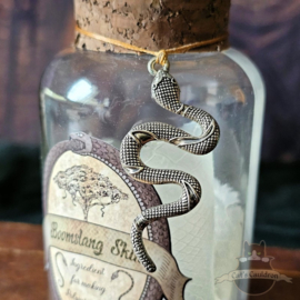 Boomslang Skin in potion bottle