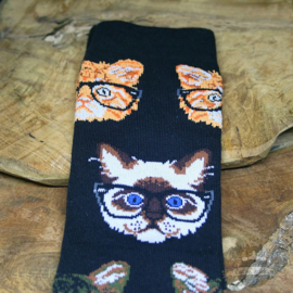 Trendige schwarze Socken mit Katzen mit Brille Gr. 39-44