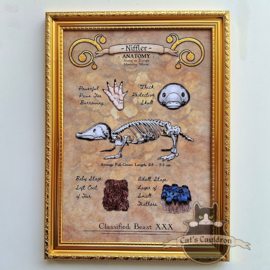 Fantastic Beast art print in A4 frame
