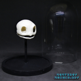 Animatie figuur #007 schedel in stolp