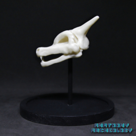 Anime figure #006 skull in bell jar