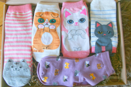 Cat socks 5 pairs pink lila and ecru size 35-39