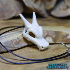 Anime Draak no. 006 Drakenschedel ketting