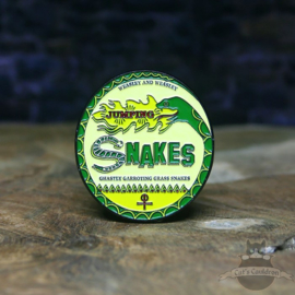 Harry Potter pin Weasleys Jumping Snakes