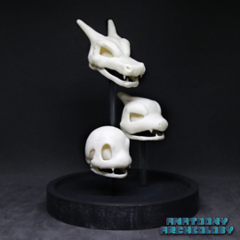 Anime figures #004 #005 #006 skulls in bell jar