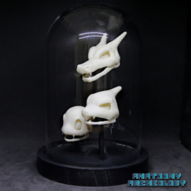 Anime figures #004 #005 #006 skulls in bell jar