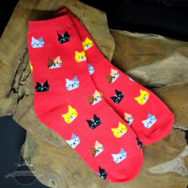 Rote Socken mit Katzenköpfen Größe 36-41