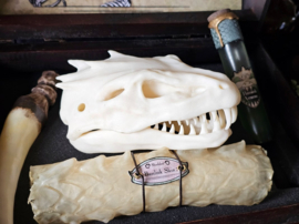 Basilisk XL Anatomy Potions Chest