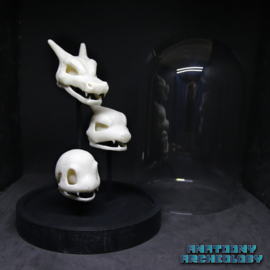 Anime figures #004 #005 #006 skulls in bell jar