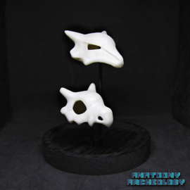 Anime figures #104 #105 skulls in bell jar