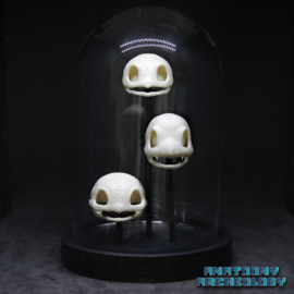Animatie figuren #001 #004 #007 schedels in stolp