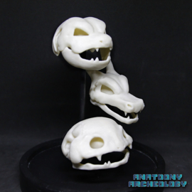 Anime figures #003 #006 #009 skulls in bell jar