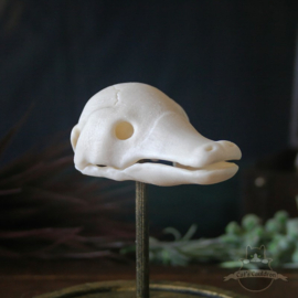 Fabeldier schedel in glazen stolp