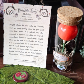 Herbology Potions kist