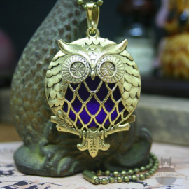 Owl diffuser necklace gold colored double sided