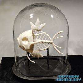 Animation figure #129 fossil in glass bell jar