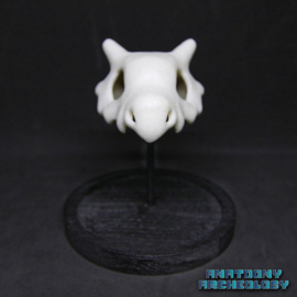 Anime figure #104 skull in bell jar