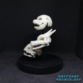 Anime figures #003 #006 #009 skulls in bell jar