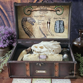 Basilisk XL Anatomy Potions Chest