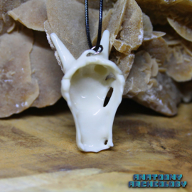 Anime Dragon #006 Dragon Skull necklace