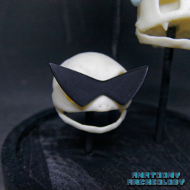 Anime figures #001 #004 #007 skulls in bell jar