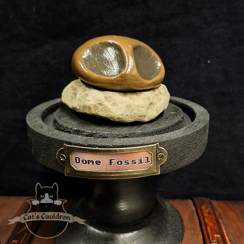 Dome fossil versteend in stolp