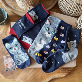 Cat socks 5 pairs blue and grey size 36-40