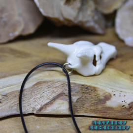 Anime Dragon #006 Dragon Skull necklace