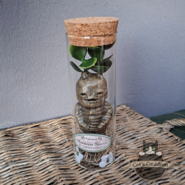 Baby Mandrake Sprout (happy)