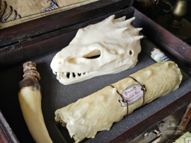 Basilisk XL Anatomy Potions Chest