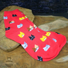 Rode sokken met kattenkoppen mt.36-41