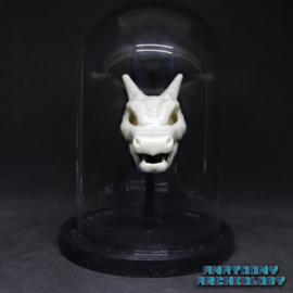 Anime figure #006 skull in bell jar