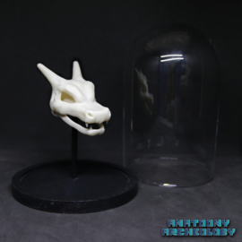 Anime figure #006 skull in bell jar