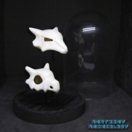 Anime figures #104 #105 skulls in bell jar