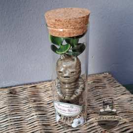 Baby Mandrake Sprout (happy)