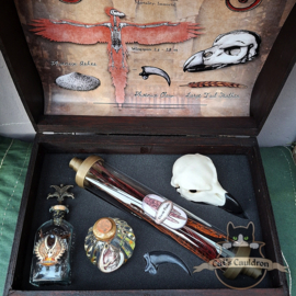 Phoenix XL Chest with Skull and Potions