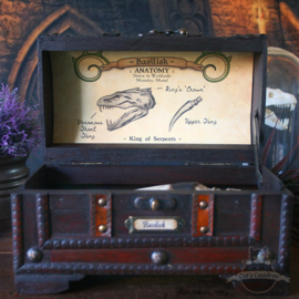 Basilisk Anatomy Potions Chest