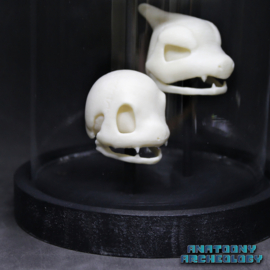 Anime figures #004 #005 #006 skulls in bell jar