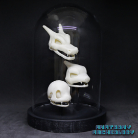 Anime figures #004 #005 #006 skulls in bell jar