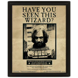 Harry Potter / Sirius Black bewegende 3D Poster Officieel