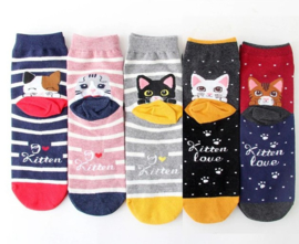 Cat socks kitten love 5 pairs stretch size 36-41