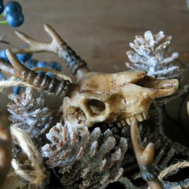 Kerstmis set van 4 schedel ornamenten